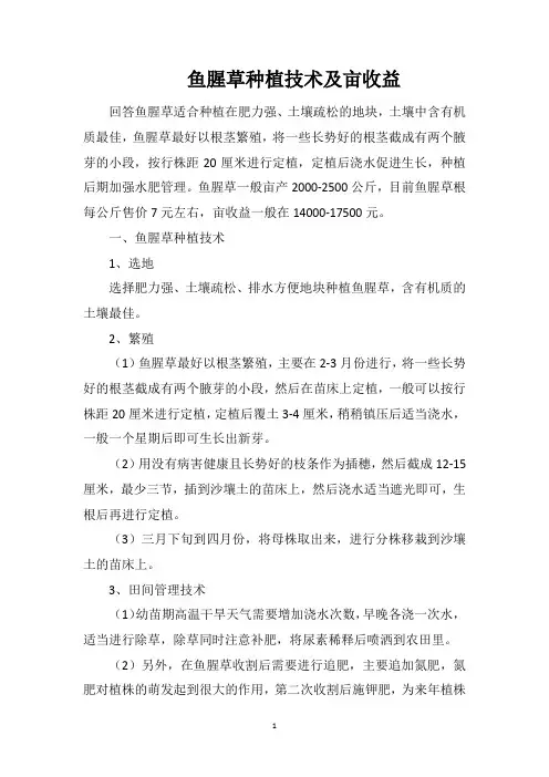 鱼腥草种植技术及亩收益
