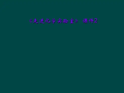 《走进化学实验室》 课件2