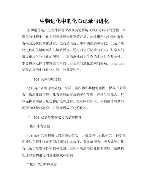 生物进化中的化石记录与进化
