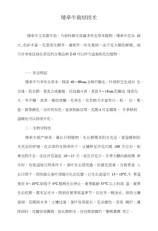 矮牵牛栽培技术.doc