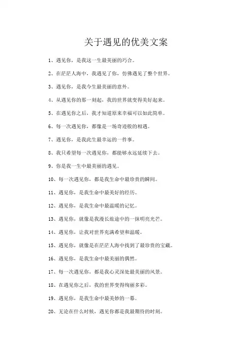 关于遇见的优美文案