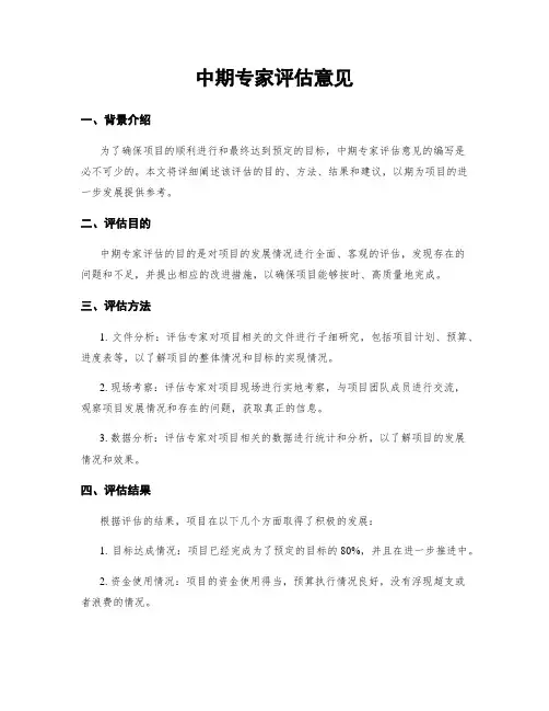 中期专家评估意见