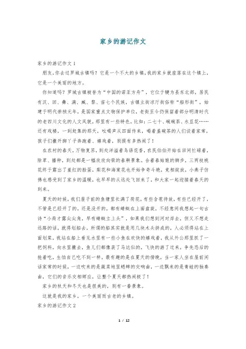 家乡的游记作文