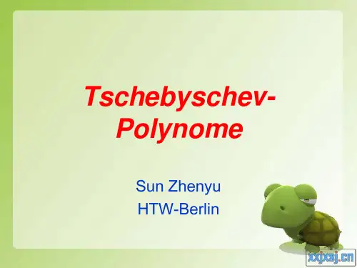 德语版切比雪夫多项式讲义 Tschebyschev-Polynome