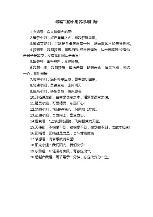最霸气的小组名称与口号