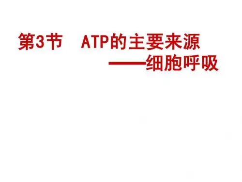 5.3.1探究酵母菌细胞呼吸的方式