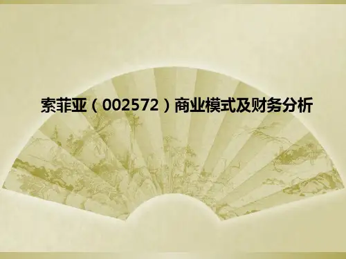 某品牌商业模式及财务分析(PPT35张)