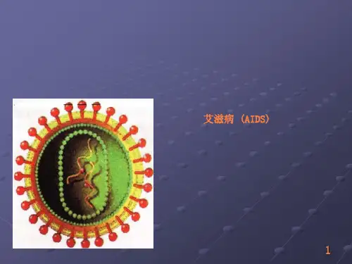 艾滋病实验室检查ppt课件