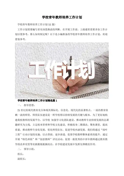 学校青年教师培养工作计划