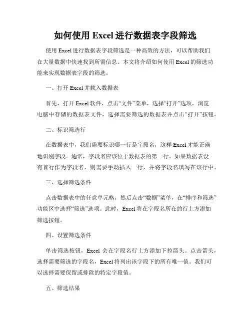如何使用Excel进行数据表字段筛选