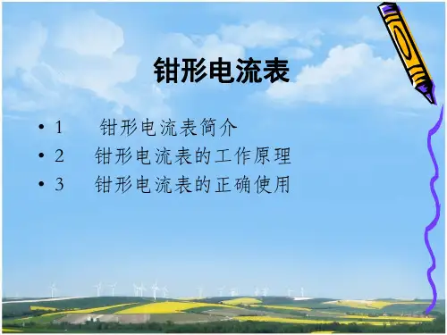 钳形电流表