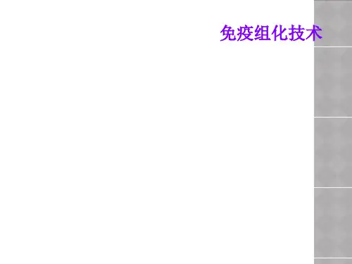 免疫组化技术
