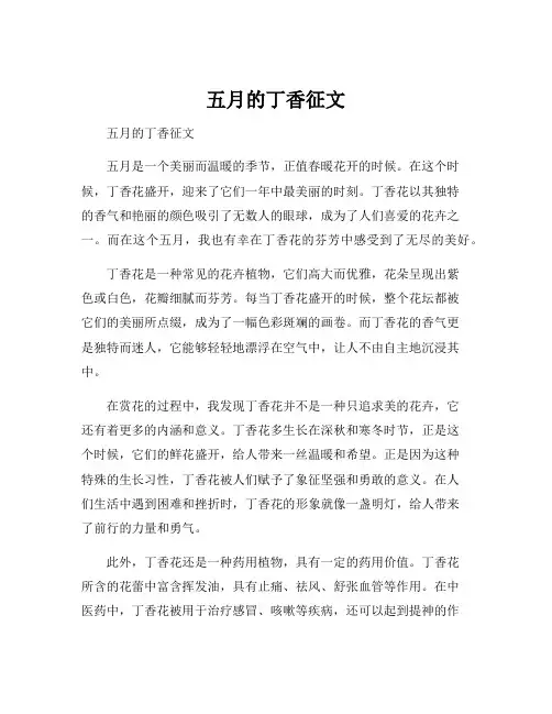 五月的丁香征文