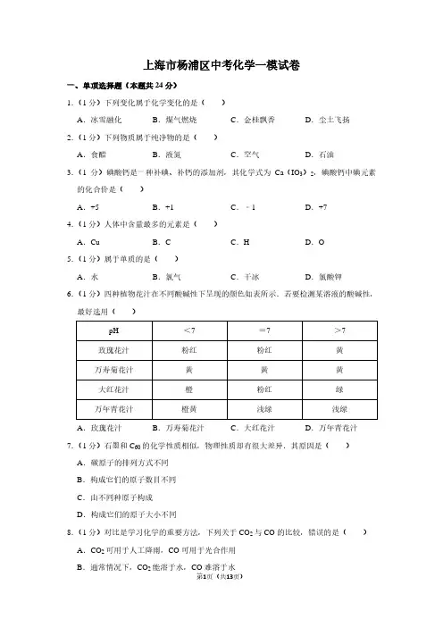 上海市杨浦区中考化学一模试卷 (2)