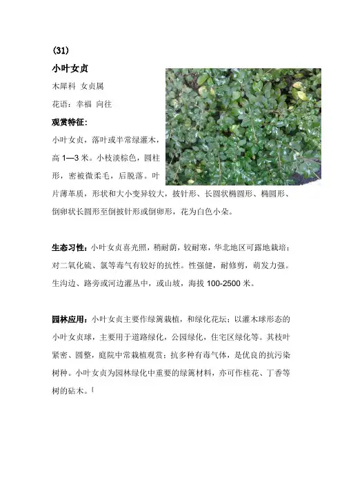 部分观赏植物的生态习性,观赏特征,园林应用的整理4