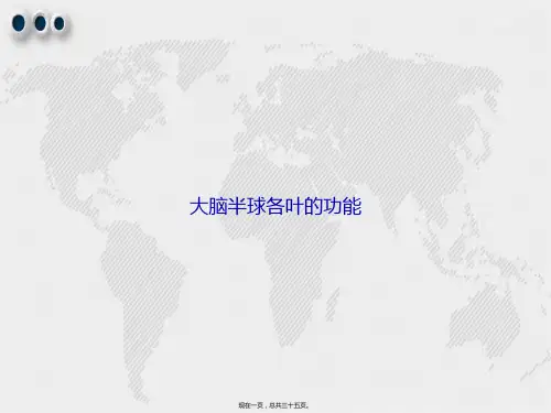 大脑半球各叶的功能讲课文档
