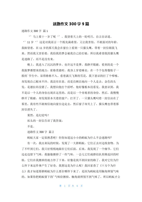 迷路作文300字9篇