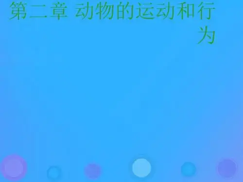 人教版(新课程标准)5.2.1《动物的运动》课件(26张PPT)