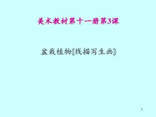 盆栽植物线描写生画 ppt课件