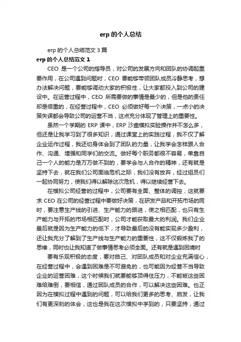 erp的个人总结范文3篇