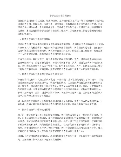 中学团委自查自纠报告