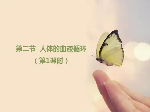 学年苏教版生物七年级下册0.2《人体的血液循环》第1课时 课件