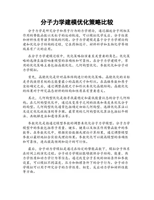 分子力学建模优化策略比较