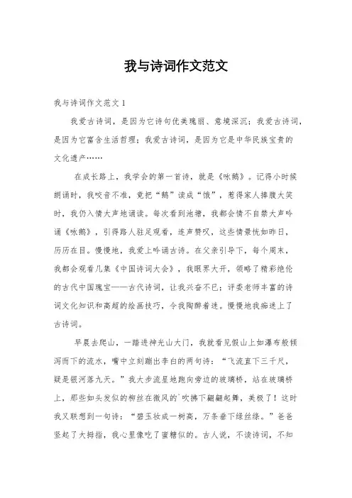 我与诗词作文范文