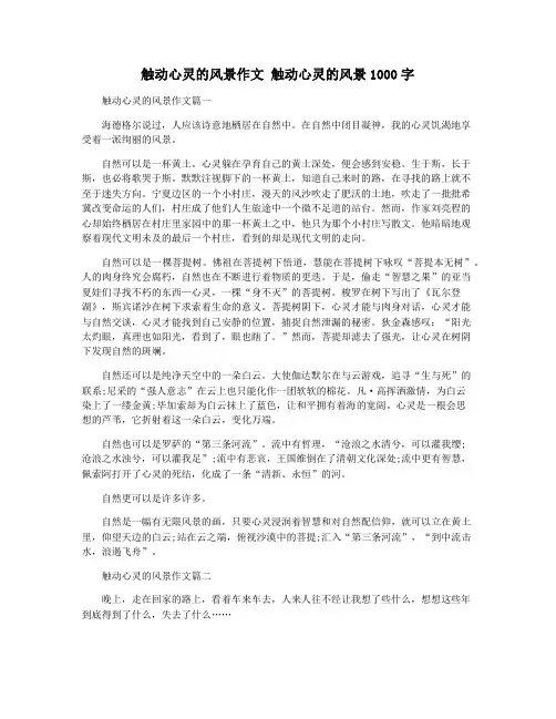 触动心灵的风景作文 触动心灵的风景1000字