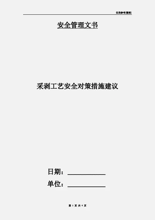 采剥工艺安全对策措施建议