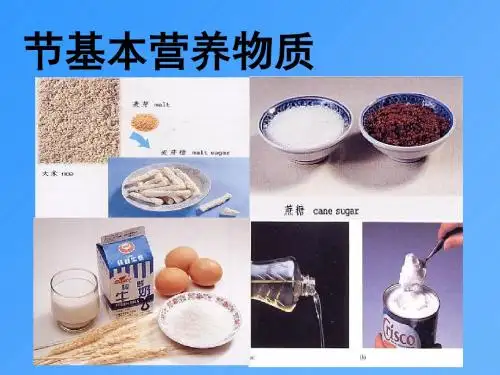 化学课件《基本营养物质》优秀ppt31 人教课标版
