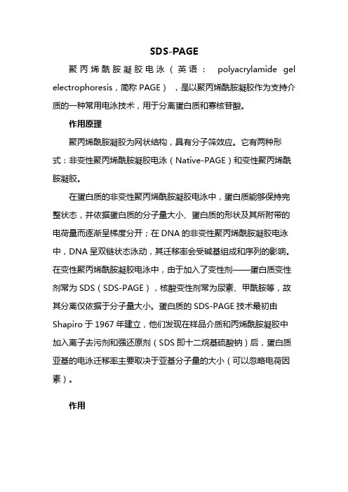 sds-page