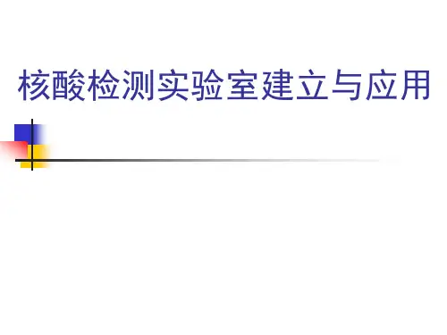 【专家讲座】核酸检测实验室建立与应用PPT课件