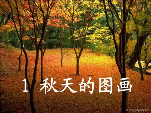 一年级1《秋天的图画》PPT课件