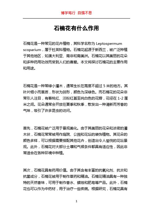 石楠花有什么作用
