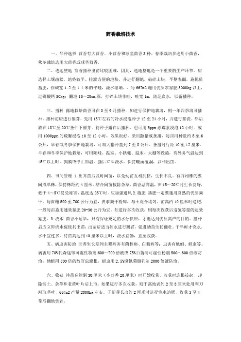茴香栽培技术