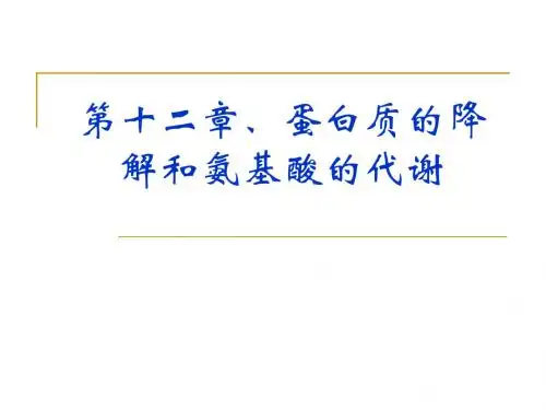 生物化学第12章、蛋白质的降解及氨基酸代谢