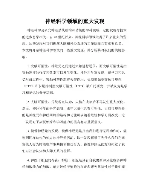 神经科学领域的重大发现