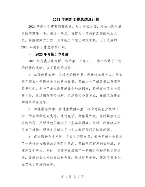 2023年两新工作总结及计划
