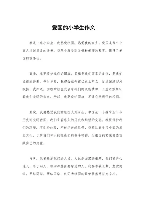 爱国的小学生作文