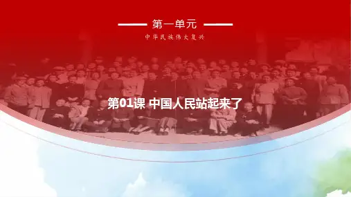 《中国人民站起来了》ppt课件25张