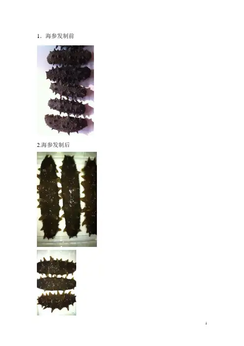 淡干海参发制