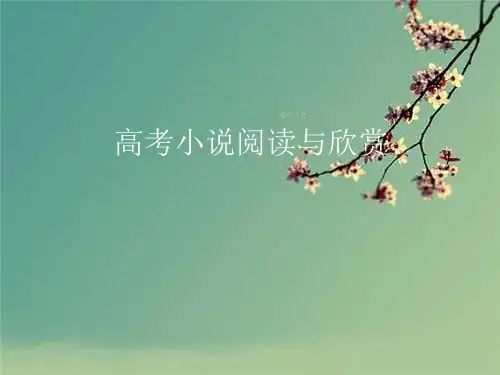 《高考小说阅读》PPT课件.ppt
