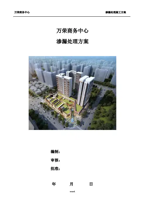 渗水处理方案-精选.