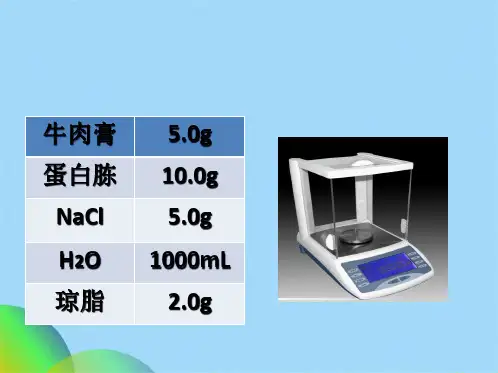 实验 培养基的配制(共24张PPT)