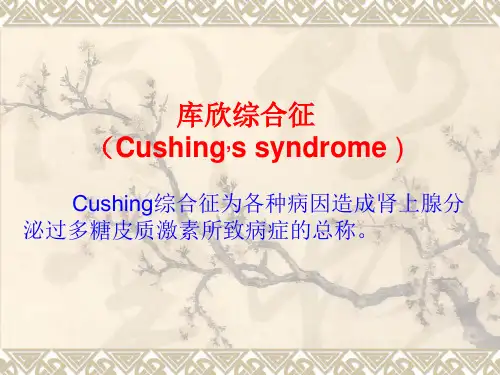 Cushing综合征