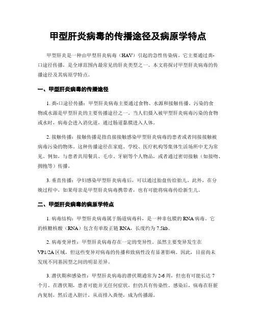 甲型肝炎病毒的传播途径及病原学特点