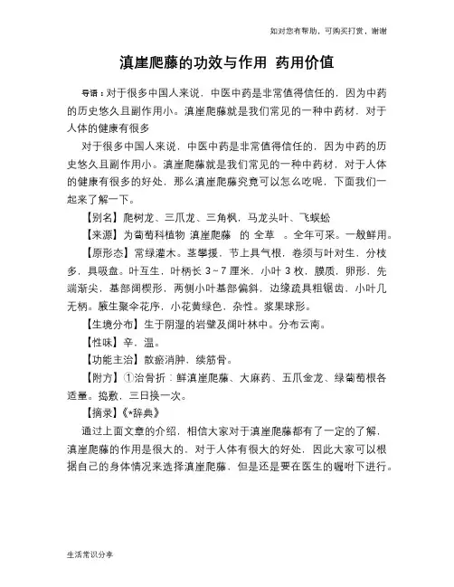 滇崖爬藤的功效与作用 药用价值