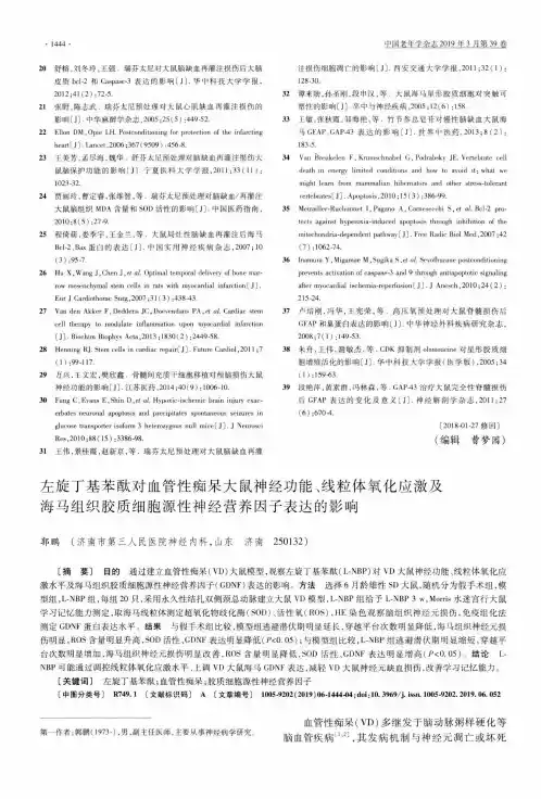 左旋丁基苯酞对血管性痴呆大鼠神经功能、线粒体氧化应激及海马组织胶质细胞源性神经营养因子表达的影响
