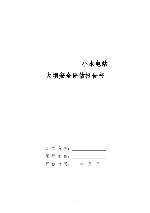 小水电站大坝安全评估报告书